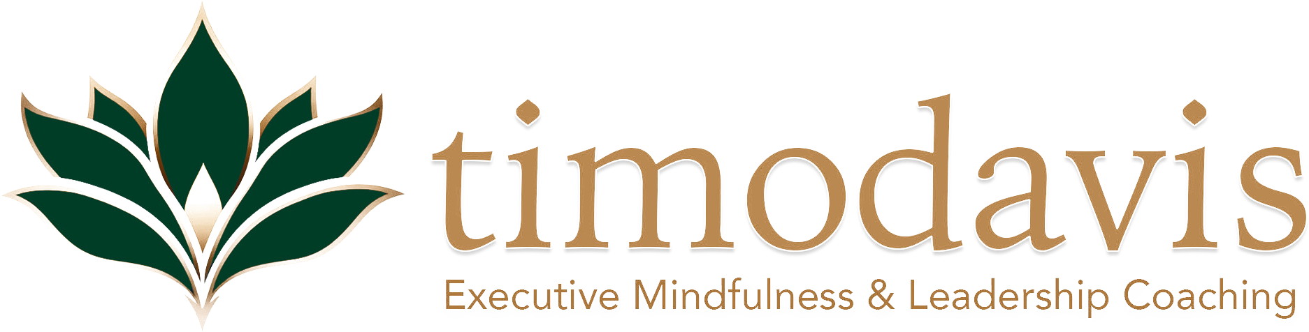 timodavis &mdash; Executive Mindfulness & Leadership Coaching